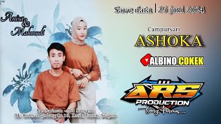 LIVE quotASHOKAquot Music  ARS jilid 2 mrKAPER Audio [upl. by Ybrek]