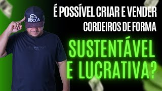 Terçafeira I Como criar e vender cordeiros de forma sustentável e lucrativa [upl. by Leuqim]