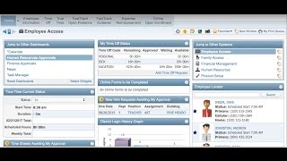 Employee Access Overview [upl. by Eamaj]