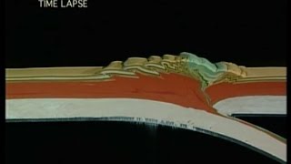 Plate Tectonics  How Mountains are Made [upl. by Nazar351]