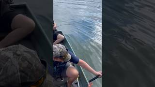 Big catfish on micro rod microfishing catfish catfishing lake jonboatlife [upl. by Radnaskela]