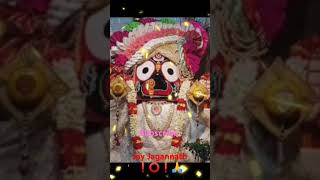 Dharma kanduchi ❗⭕❗🙏jagannath puri bhajan youtube [upl. by Liddle]