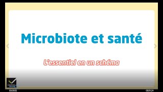 SVT 2de  Schéma bilan  Microbiote et santé [upl. by Chev]