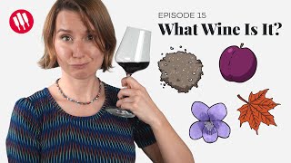 Learn by Tasting ep 15 Wine Folly [upl. by Jermain]