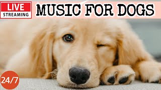 🔴LIVE Dog Music🎵Dog Calming Music🐶💖Separation Anxiety Relief💖🦮Dog Relaxation for Deep Sleep🔴10 [upl. by Lanctot]