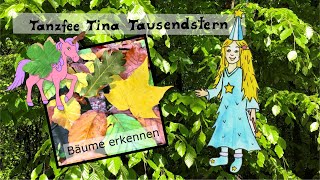 Laubbäume erkennen für Kinder  Ahorn Eiche und Buche 🍁 [upl. by Levison]