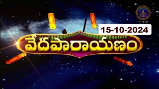 వేదపారాయణం  Vedaparayanam  Tirumala  15102024  SVBC TTD [upl. by Tildie729]