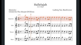 Hallelujah Of Beethoven Soprano [upl. by Ecerahc]