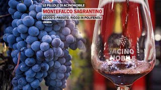 Montefalco Sagrantino  Il vino fruttato Secco o Passito  Umbria [upl. by Enyaw]