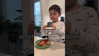 Last 10 min got cut off but go to my TikTok ✨whatmytoddlereats toddlermeals [upl. by Brew]