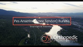 Pes Anserine Knee Tendon Bursitis [upl. by Aniret]