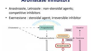 Gonadal Hormones Part 4 [upl. by Lednar]