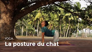 Apprendre la posture du chat  Marjariasana  Apprendre le Yoga [upl. by Nadab]