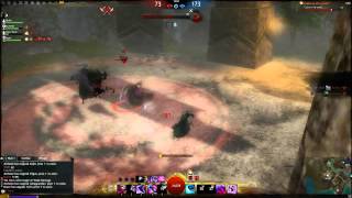 Xeph GW2 Power Mesmer Tournament Play BWE2 HD [upl. by Alletniuq]