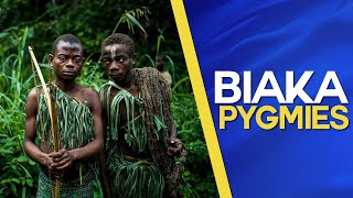 Biaka Pygmies ​of the Zaire rainforest Documentary about the former Belgian Congo [upl. by Yruama934]