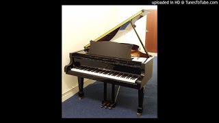 schulze pollmann pianos [upl. by Jean-Claude228]