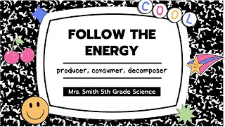 Fun Quick 5th Grade Science Ecosystem for Kids Producer Consumer Decomposer [upl. by Enaile]