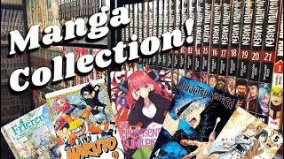 Manga Collection Tour   500  Volumes [upl. by Attlee855]