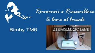 Rimuovere e Riassemblare le lame al boccale  Bimby TM6  Tutorial 4 bis di 15 [upl. by Gerald562]