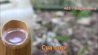 Cua Buci Manapa musica Kemak  Cailaco [upl. by Hardi207]