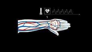 Wahoo Tickr Fit Heart rate Review [upl. by Ebonee]