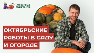 ОКТЯБРЬСКИЕ РАБОТЫ НА УЧАСТКЕ СОБИРАЕМ УРОЖАЙ И ГОТОВИМ САД И ОГОРОД К ЗИМЕ [upl. by Ahsimak]