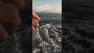 LRF Needle Fish Ζαργάνα TSURINOYA Intruder 46S fish fishing lrf lure tsurinoya Cyprus Paphos [upl. by Friedman]