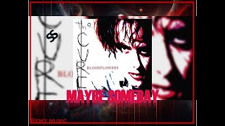 Maybe Someday Álbum full Bloodflowers Súper HD music 02 feb 2000 THE CURE Successo Asociados [upl. by Barthol]