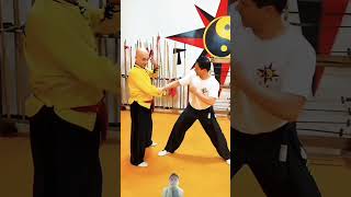 Kung fu selfdefense kungfu kungfuwushu wushufight kungfukarate mma wushukungfu dayvomma bjj [upl. by Ogaitnas]