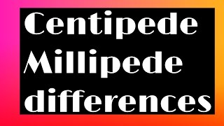 Differences between Chilopoda and Diplopoda [upl. by Adierf532]