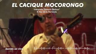 👑 quotEl Cacique Mocorongoquot  Joaquín Bedoya  SONIDO EN VIVO [upl. by Alram631]