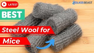 5 Best Steel Wool for Mice You Can Buy in 2022 [upl. by Lenette]