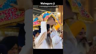 shortvideo dhanshrigurugranthsahibji dhandhanshrigururamdasji waheguruji wahegurushorts [upl. by Eisoj]