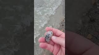 Petoskey stone at airbnbcomhjeremiahlakehouse [upl. by Nnalatsyrc167]