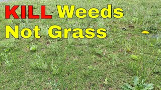 How to KILL WEEDS in Your Lawn WITHOUT KILLING the GRASS [upl. by Eolcin506]