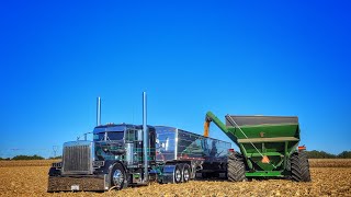 359 6NZ Show Truck JAKE BRAKE and Roller Compilation [upl. by Zuzana324]