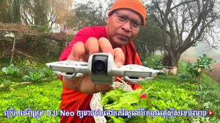 ប្រើកាមេរ៉ាដ្រូន DJI Neo ឲ្យតាមថតសកម្មភាពទៅដកបន្លែស្ពៃលើដីចម្ការវត្តស្វីសខេមរារាម [upl. by Ahsenik]