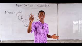 Mendelian Genetics Simplified [upl. by Kcirted]