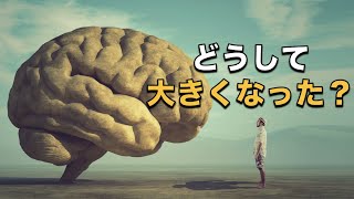 何が人間の『脳』を特別な存在へ導いたのか？｜想像を超える脳の進化の原動力！ [upl. by Modie]