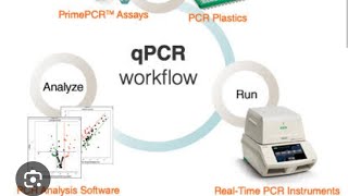 AIIMSampNEET BIOLOGY ampCSIRNET LIFESCIENCES w BIOTECHNOLOGYRealTie Pcr [upl. by Dustin543]