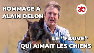 Notre hommage à Alain Delon [upl. by Margareta119]