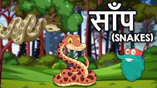 स्नेक  साँप  Snakes Video In Hindi  DrBinocs Show  Snake Facts For Kids Reptiles Binocs Hindi [upl. by Arej]