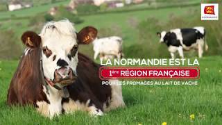 Les 4 Fromages AOP de Normandie [upl. by Readus]