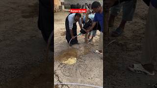 Impaction of rumen rumen Lavage drainage of rumen ingestacowdisease vet cow animals farming [upl. by Loralie]