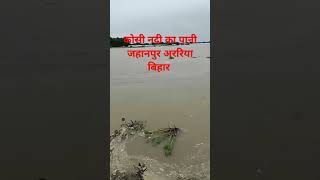 Kosi Nadi ka Pani Jahanpur Araria Bihar 😭😭 Pawan Singh bhojpurisong trendingyoutubeshorts [upl. by Lenno860]