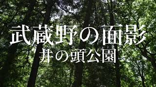 武蔵野の面影 井の頭公園 [upl. by Britton]