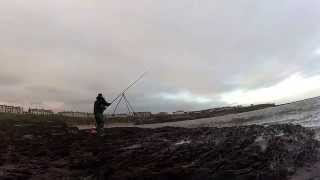 cullercoats cod fishing [upl. by Ydnil397]