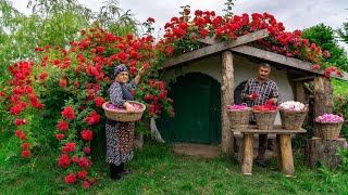 🌹 Traditional Rose Jam Homemade Recipe from Fresh Roses [upl. by Luapnoj]