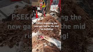 PSEampG installing the new gas line for the mid rise building contractor construction gas diy [upl. by Veradi]