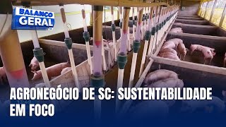 SC Saudável crescimento do agronegócio com responsabilidade ambiental [upl. by Ahsitel403]